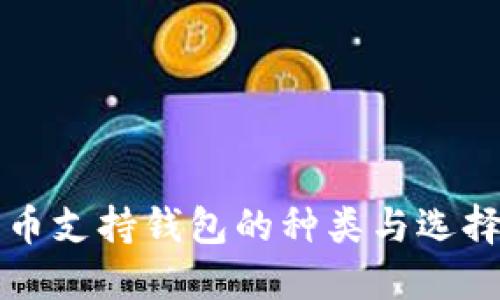 比特币支持钱包的种类与选择指南