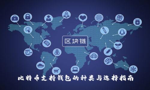 比特币支持钱包的种类与选择指南